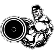 bestrengthshop.com logo